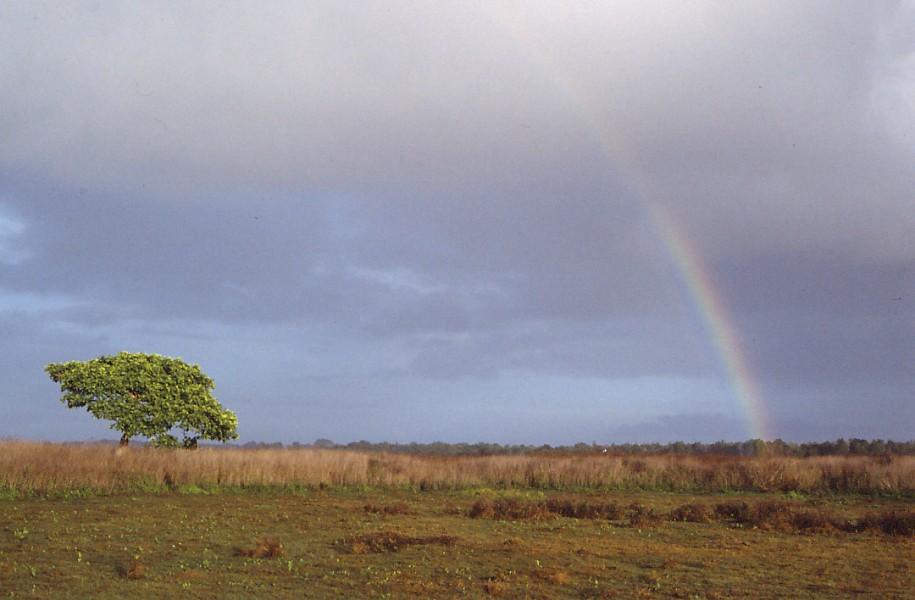 Merauke, Papua – Taman Nasional Wasur