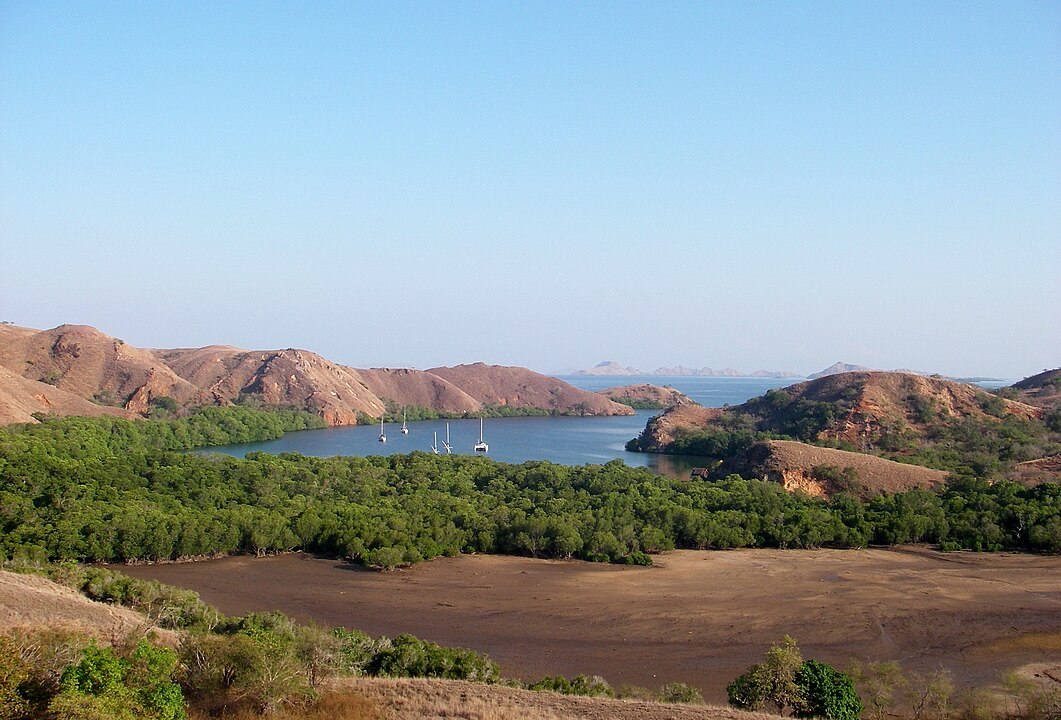 pulau-komodo